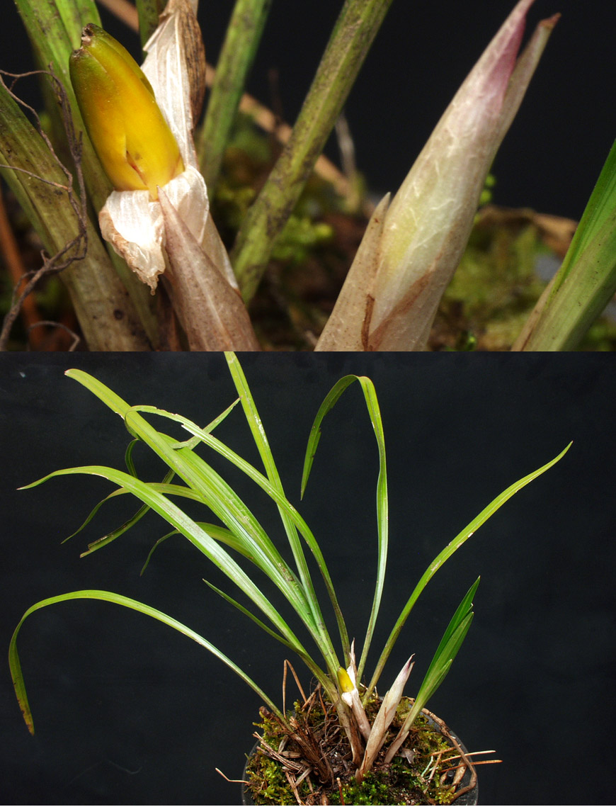 ������ ū������ �� �� �ֽ��ϴ�.