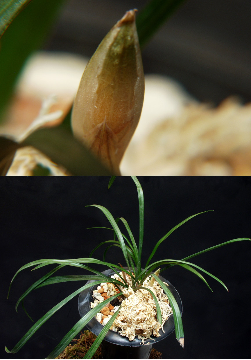 ������ ū������ �� �� �ֽ��ϴ�.