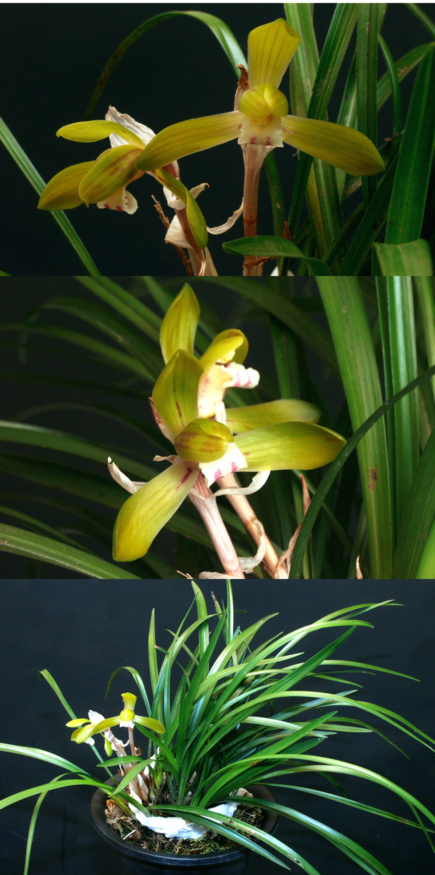 ������ ū������ �� �� �ֽ��ϴ�.