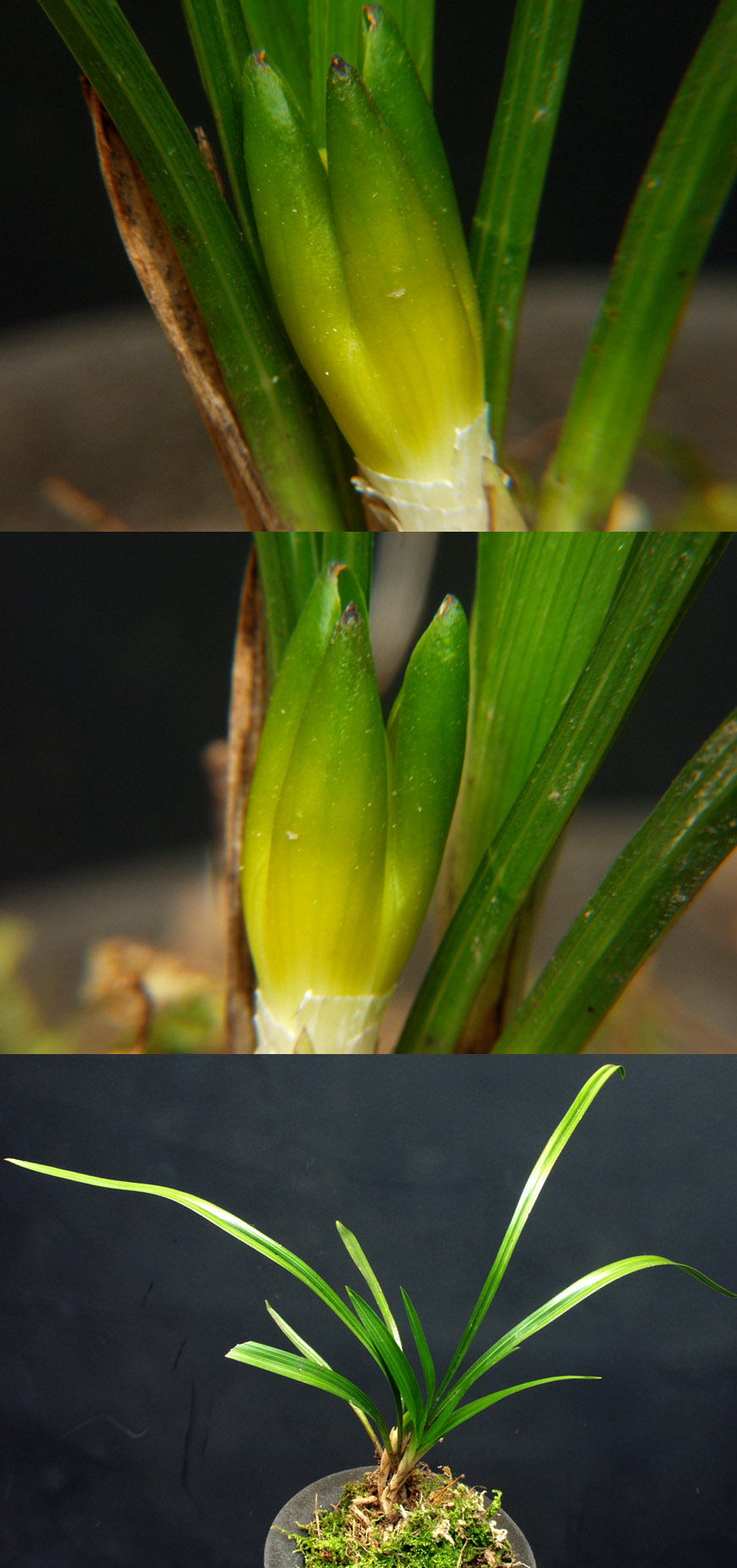 ������ ū������ �� �� �ֽ��ϴ�.