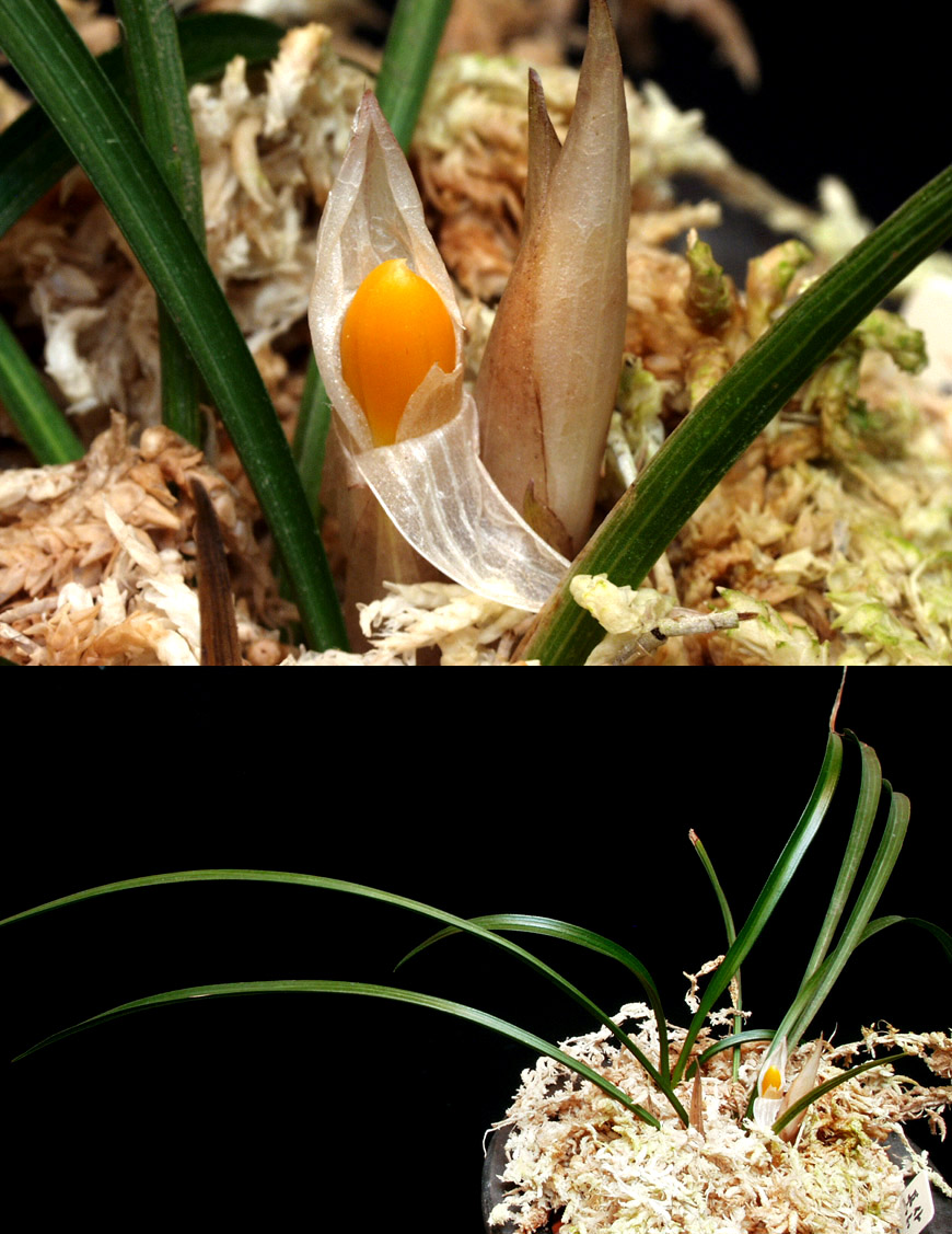 ������ ū������ �� �� �ֽ��ϴ�.