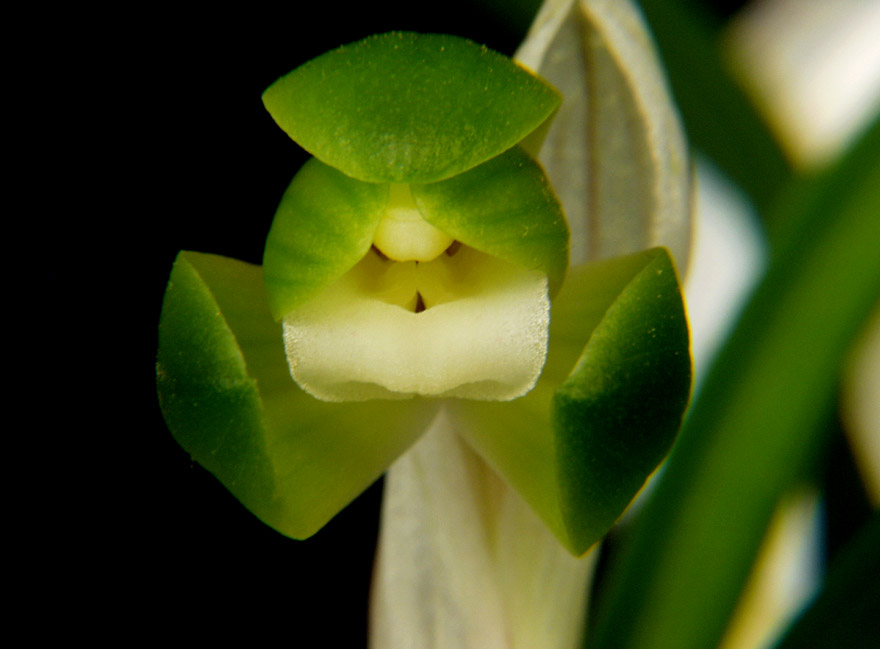 ������ ū������ �� �� �ֽ��ϴ�.