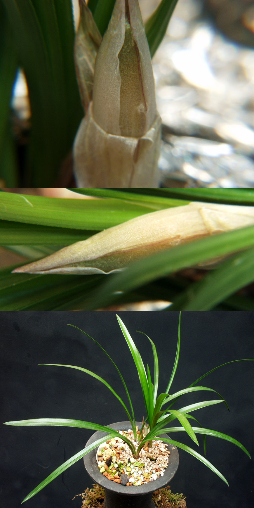 ������ ū������ �� �� �ֽ��ϴ�.