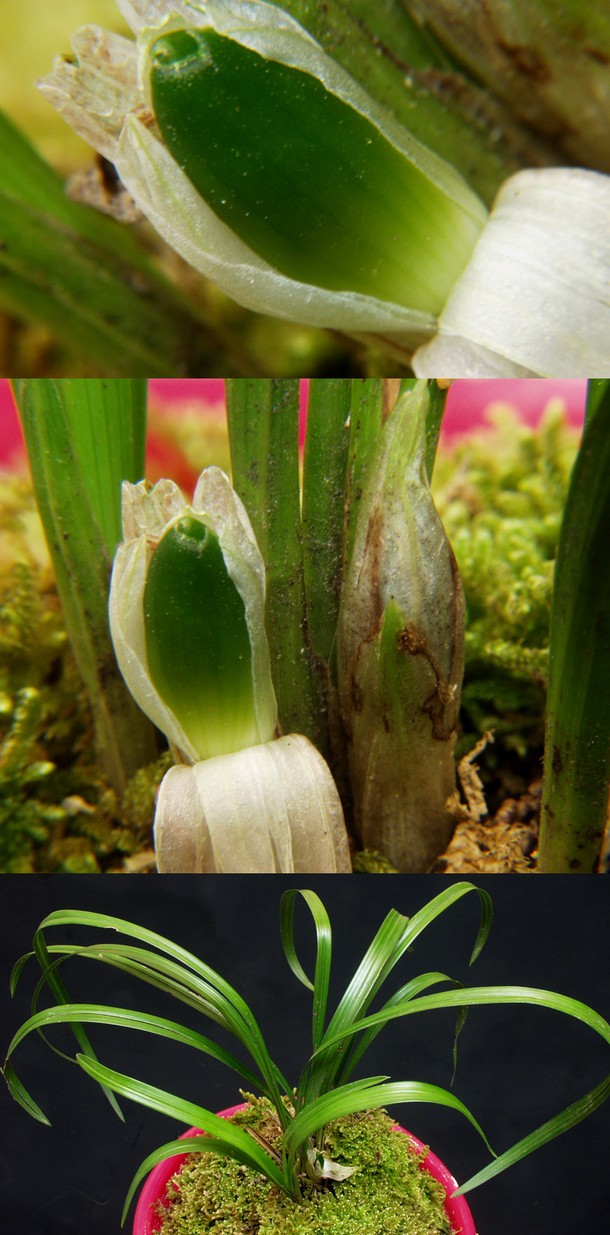 ������ ū������ �� �� �ֽ��ϴ�.