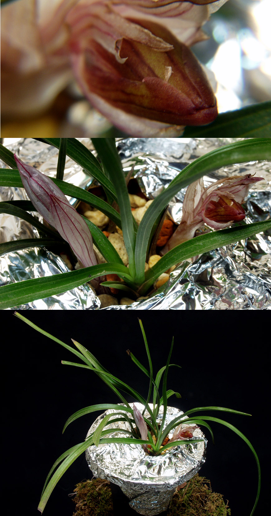 ������ ū������ �� �� �ֽ��ϴ�.