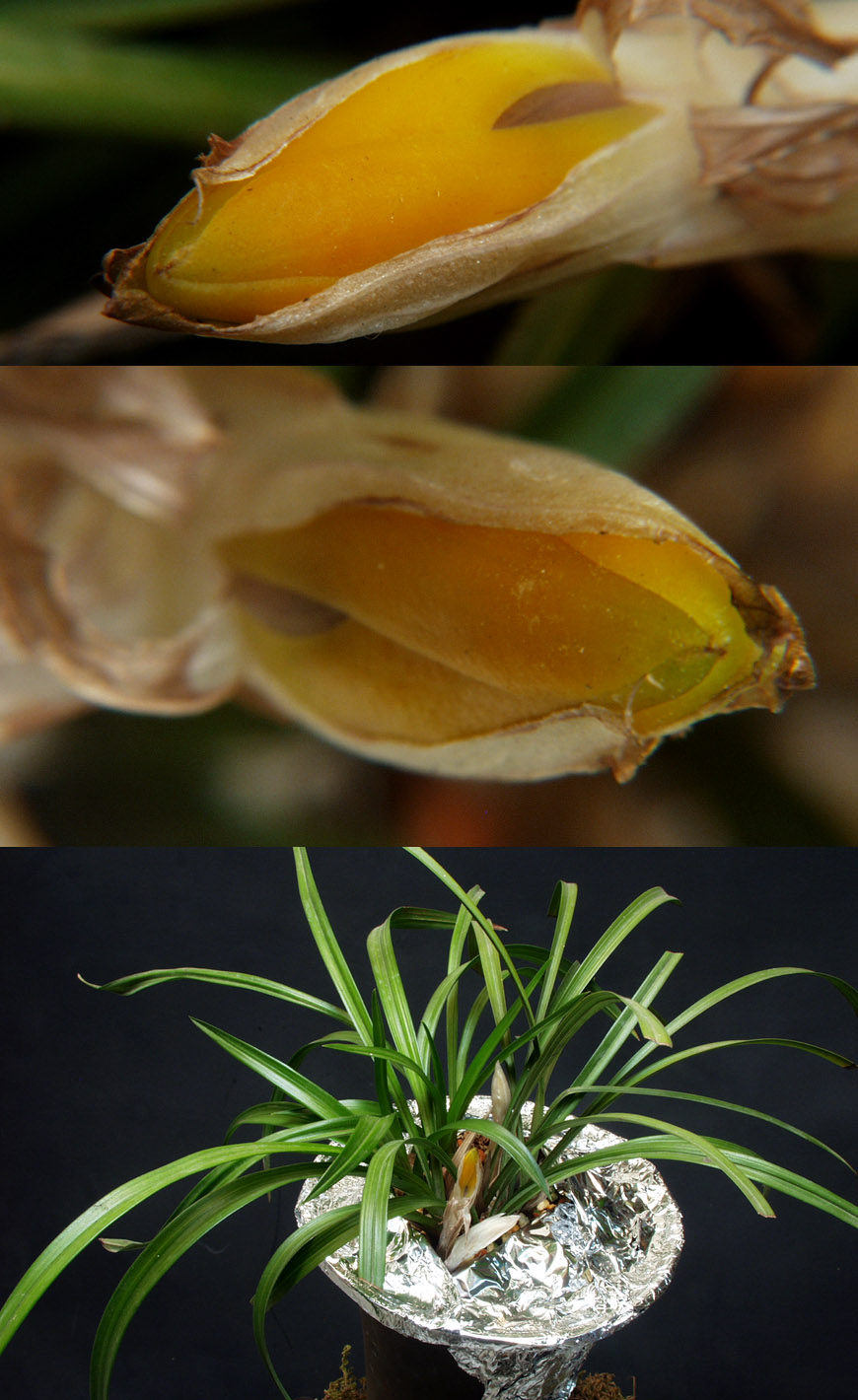 ������ ū������ �� �� �ֽ��ϴ�.