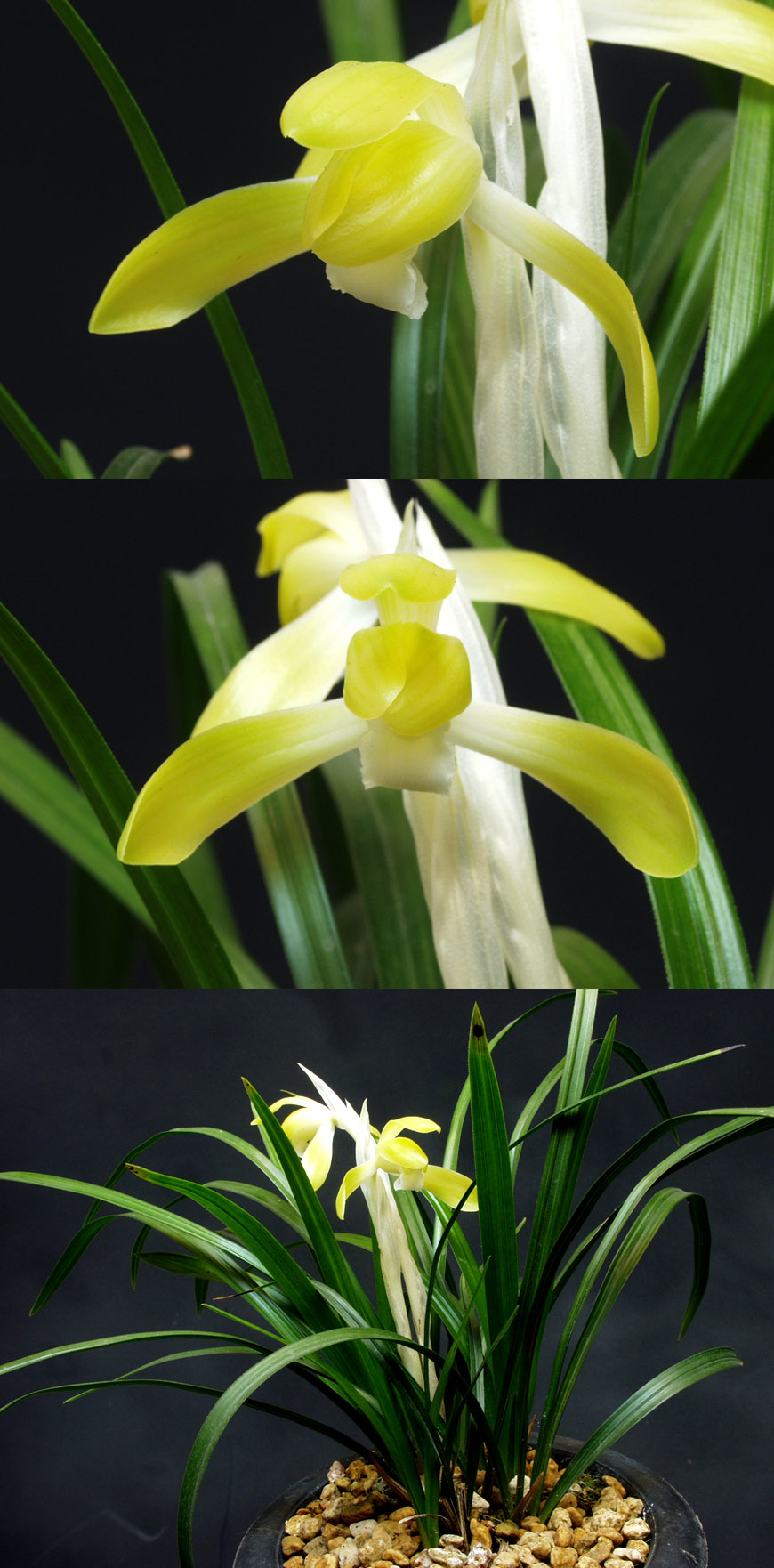 ������ ū������ �� �� �ֽ��ϴ�.