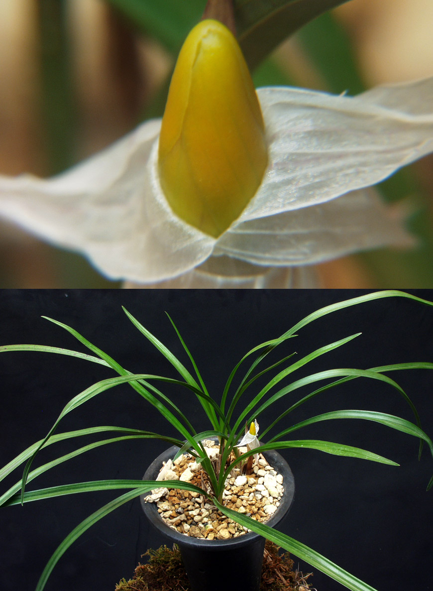 ������ ū������ �� �� �ֽ��ϴ�.