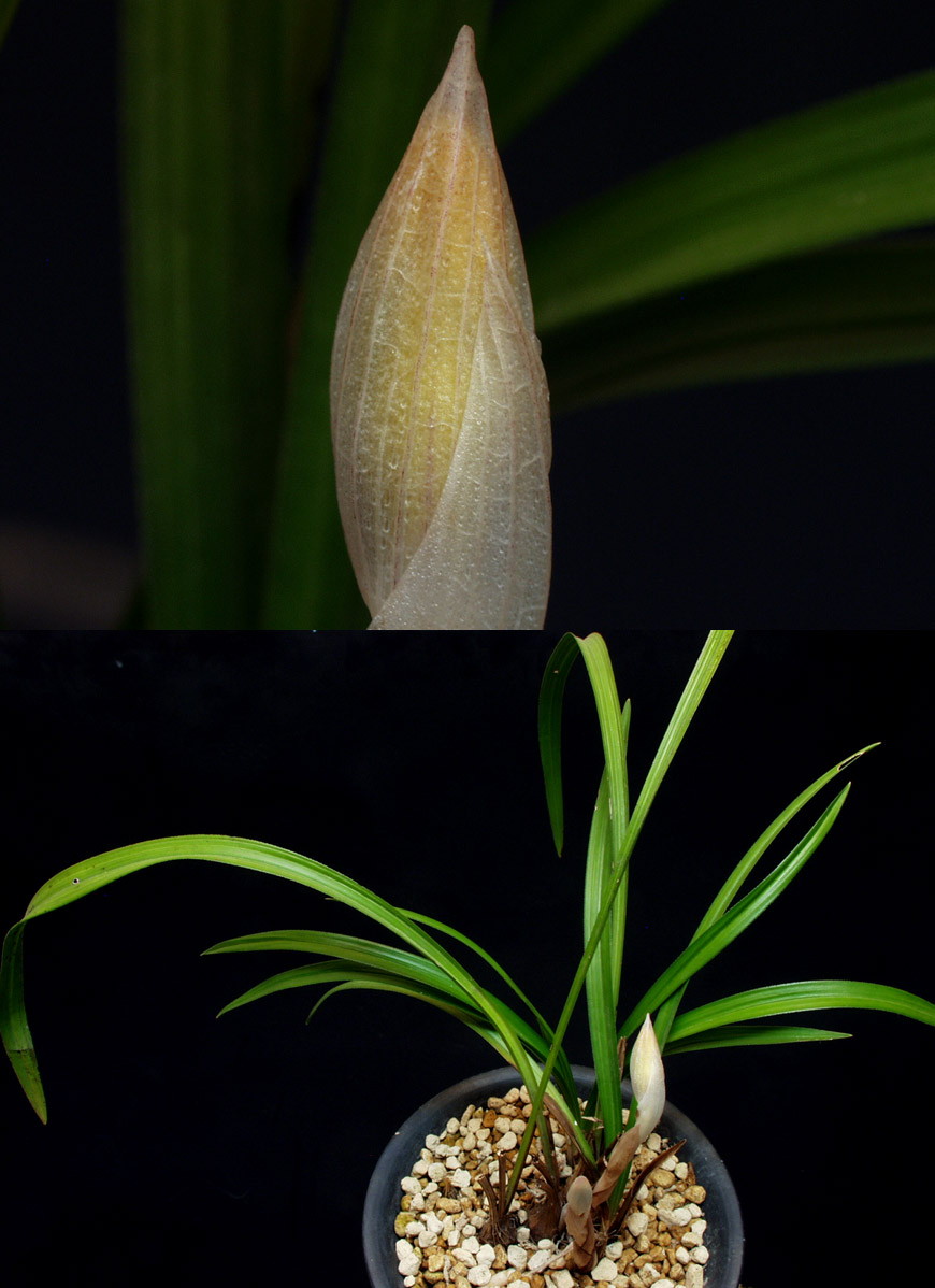 ������ ū������ �� �� �ֽ��ϴ�.