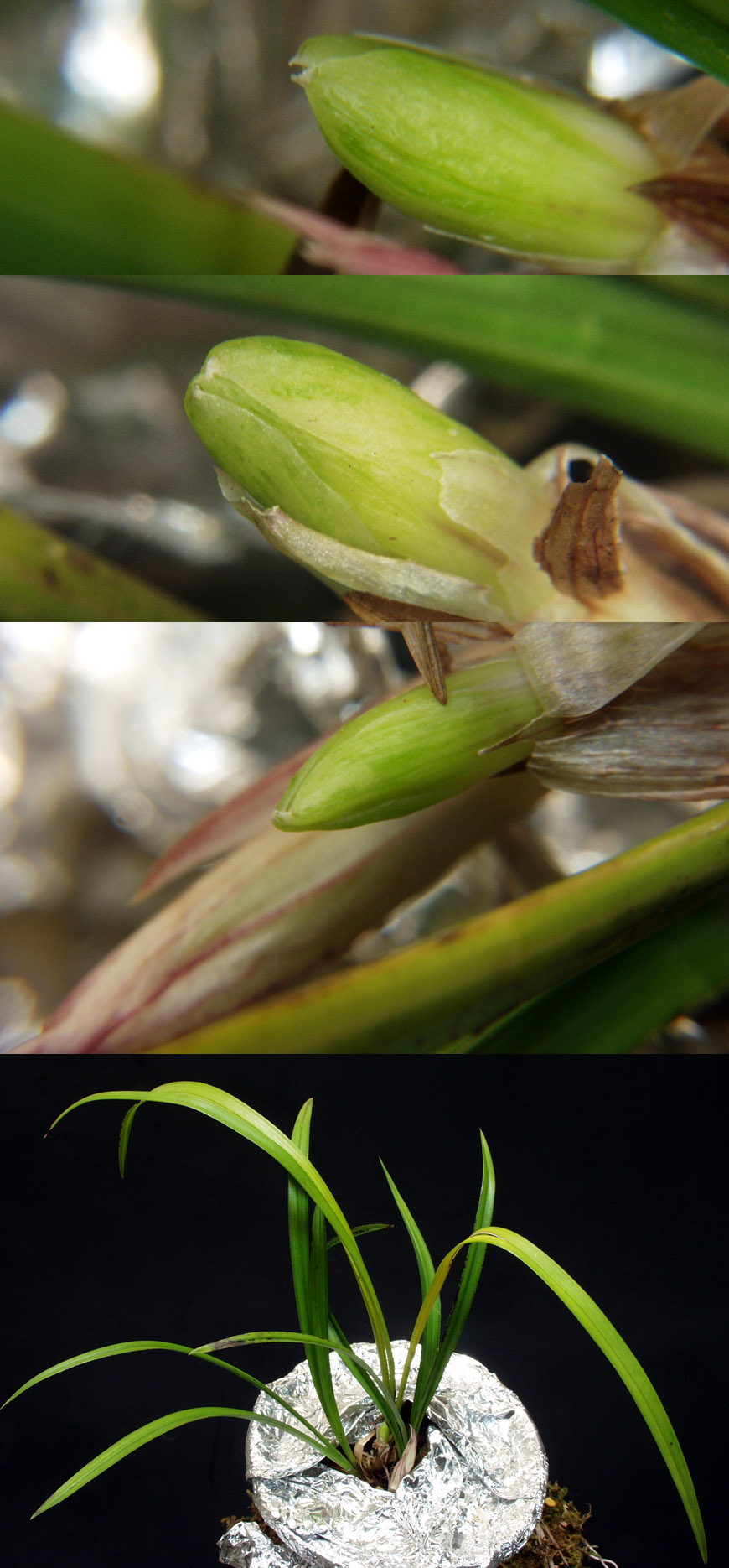 ������ ū������ �� �� �ֽ��ϴ�.