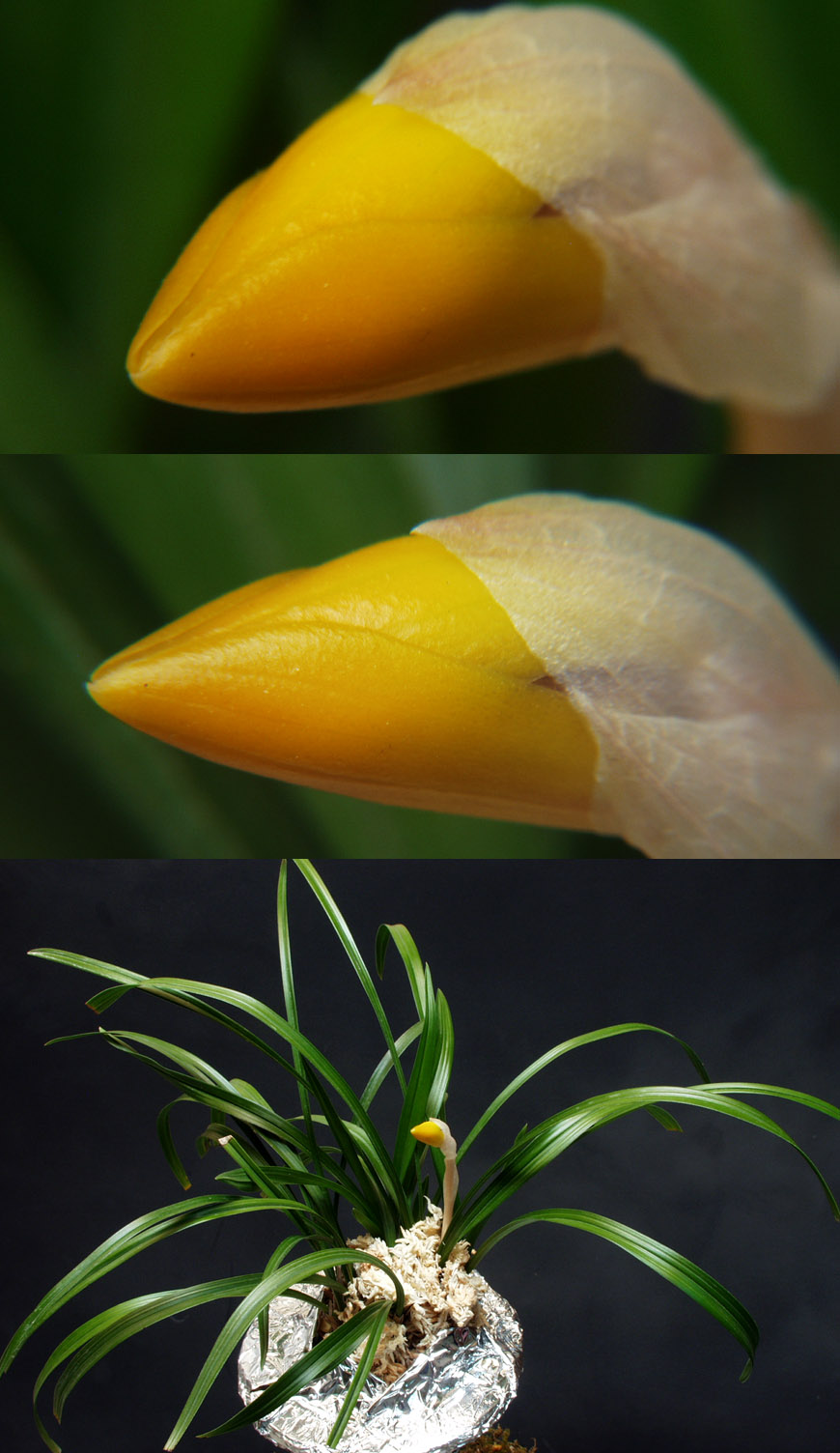 ������ ū������ �� �� �ֽ��ϴ�.