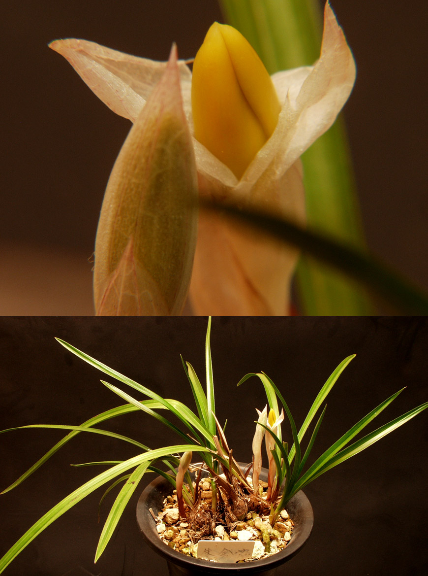 ������ ū������ �� �� �ֽ��ϴ�.