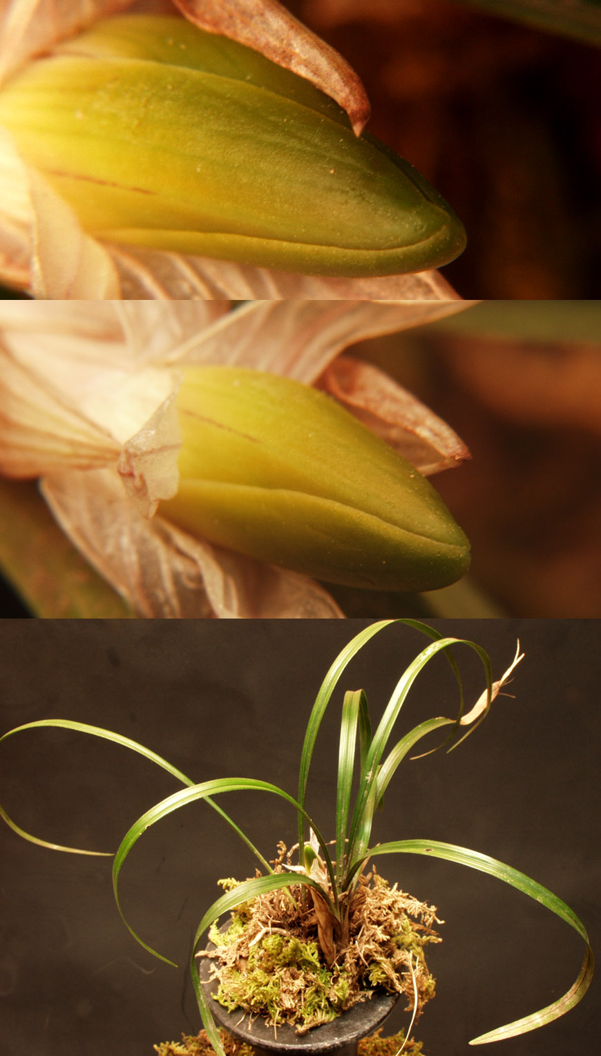 ������ ū������ �� �� �ֽ��ϴ�.