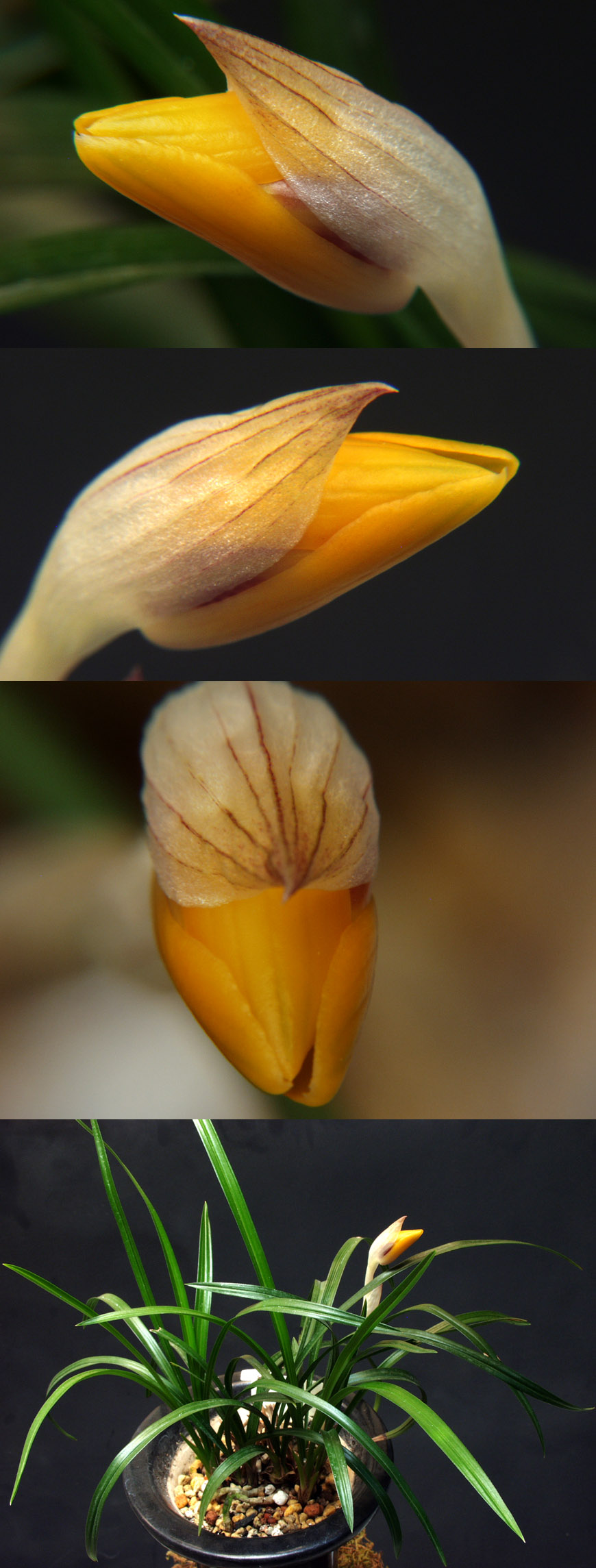 ������ ū������ �� �� �ֽ��ϴ�.