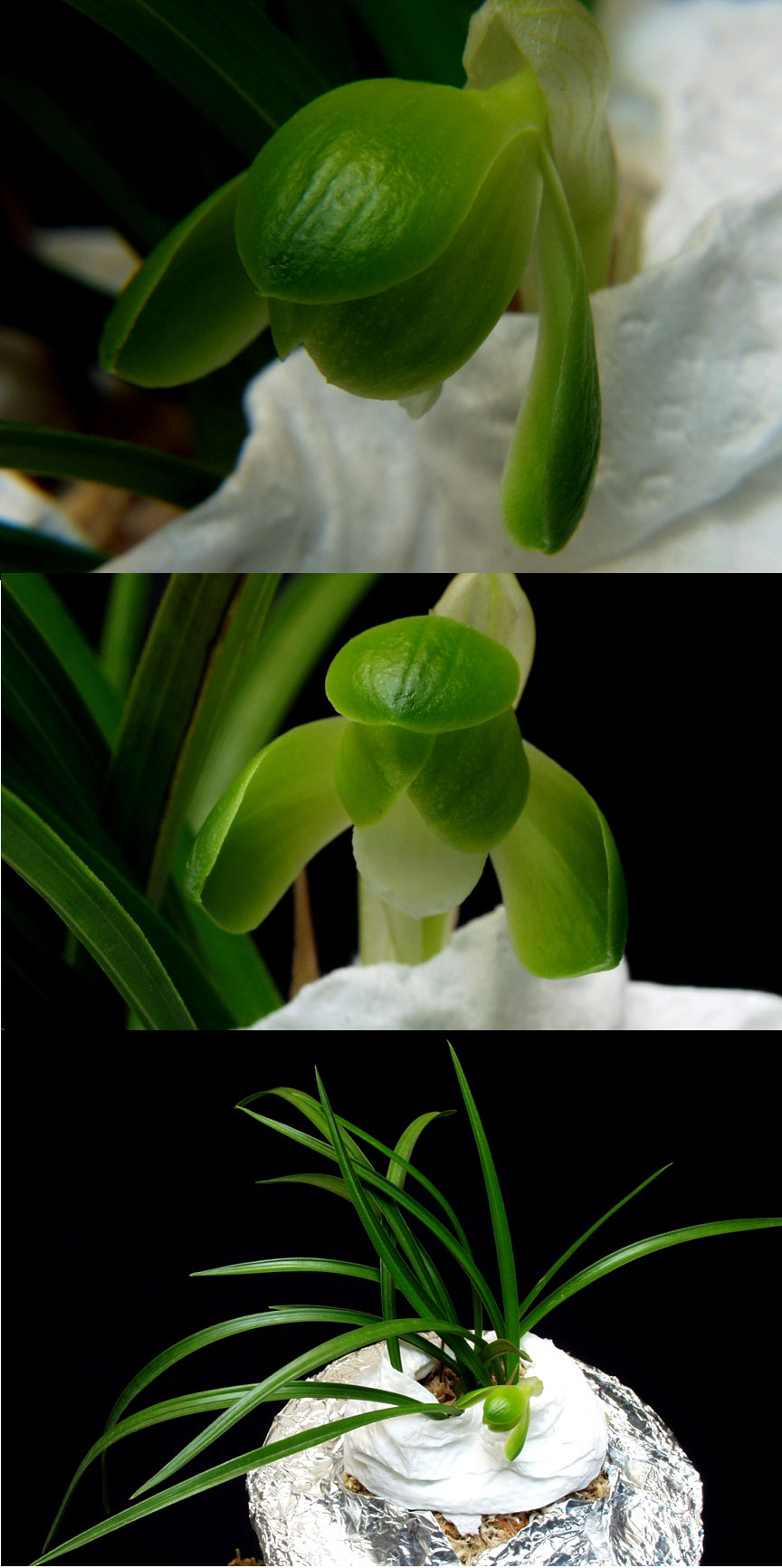 ������ ū������ �� �� �ֽ��ϴ�.