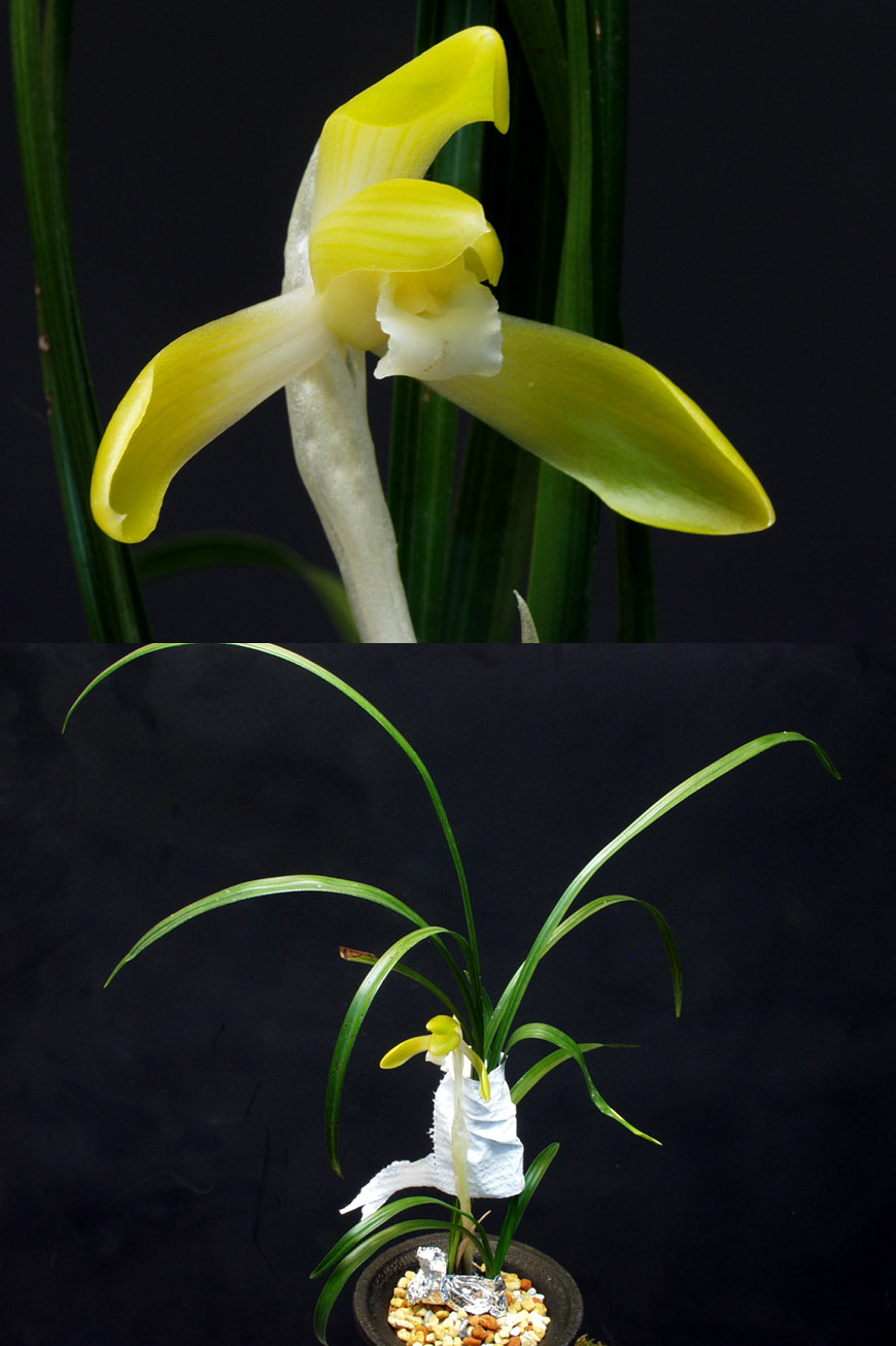 ������ ū������ �� �� �ֽ��ϴ�.