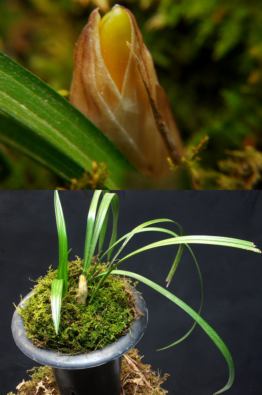 ������ ū������ �� �� �ֽ��ϴ�.