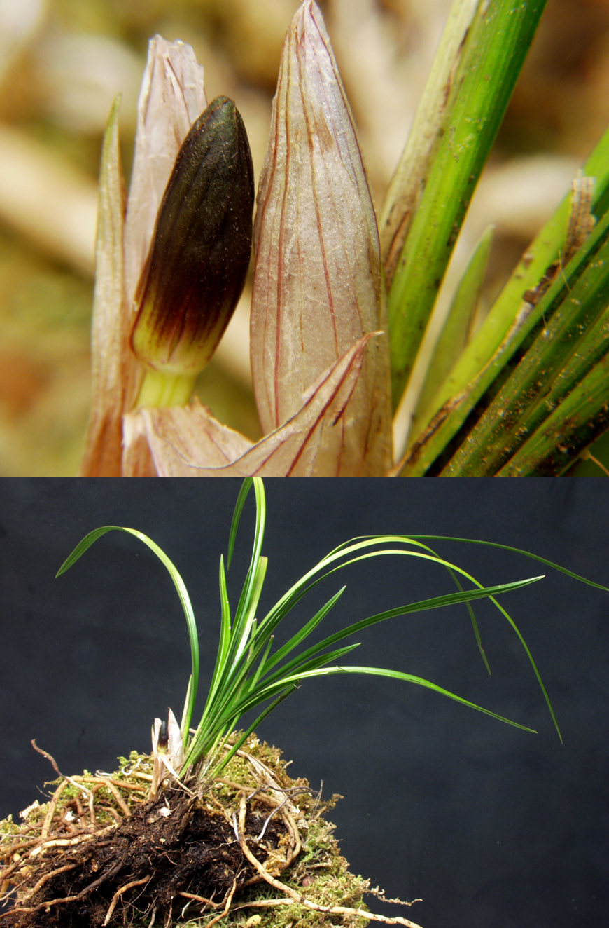 ������ ū������ �� �� �ֽ��ϴ�.