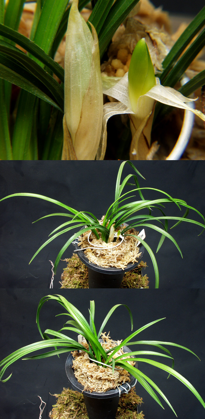 ������ ū������ �� �� �ֽ��ϴ�.