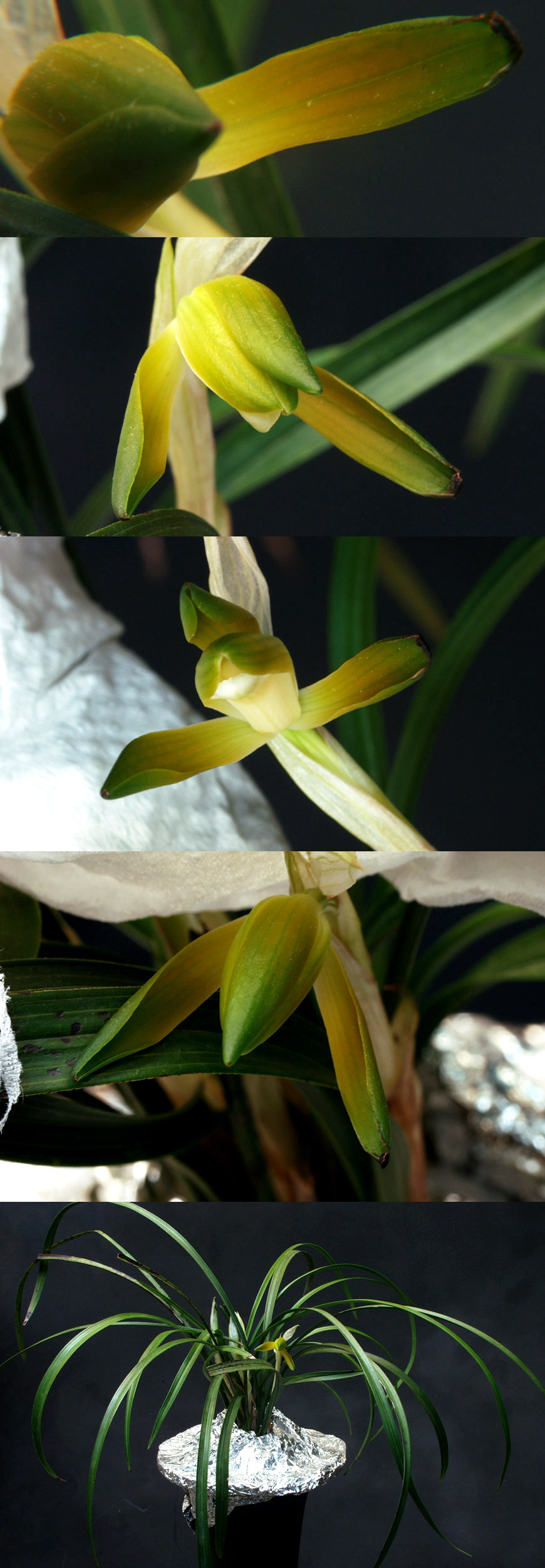 ������ ū������ �� �� �ֽ��ϴ�.