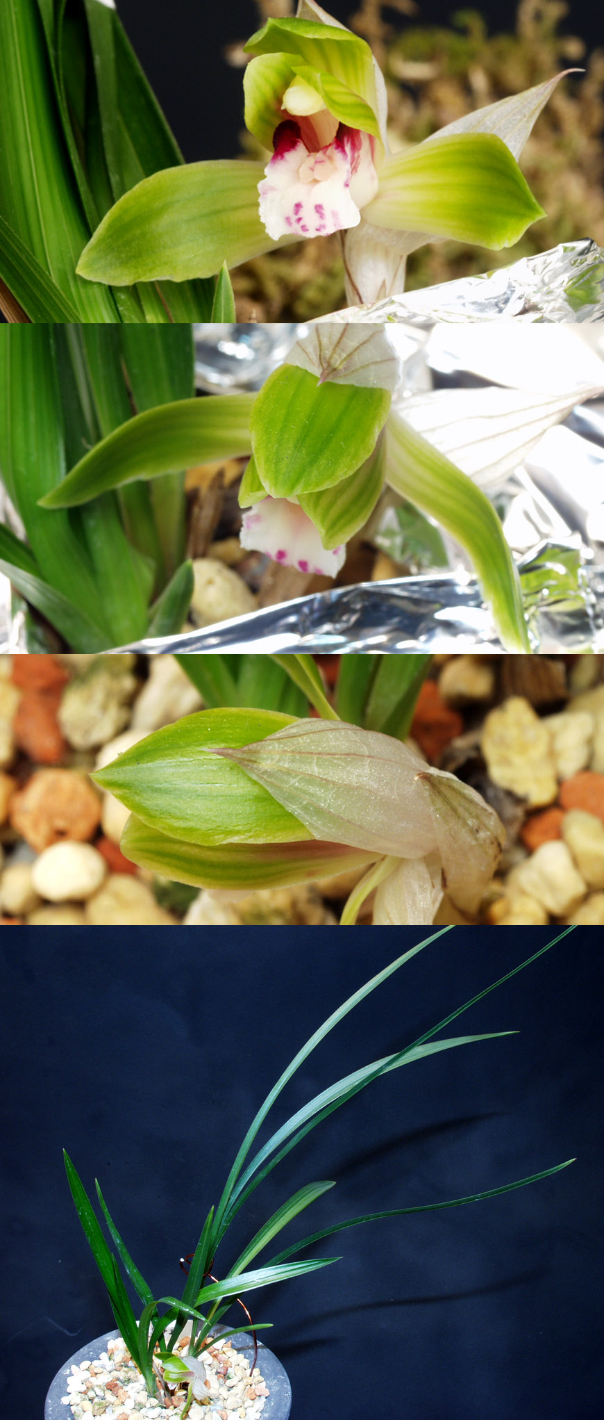 ������ ū������ �� �� �ֽ��ϴ�.