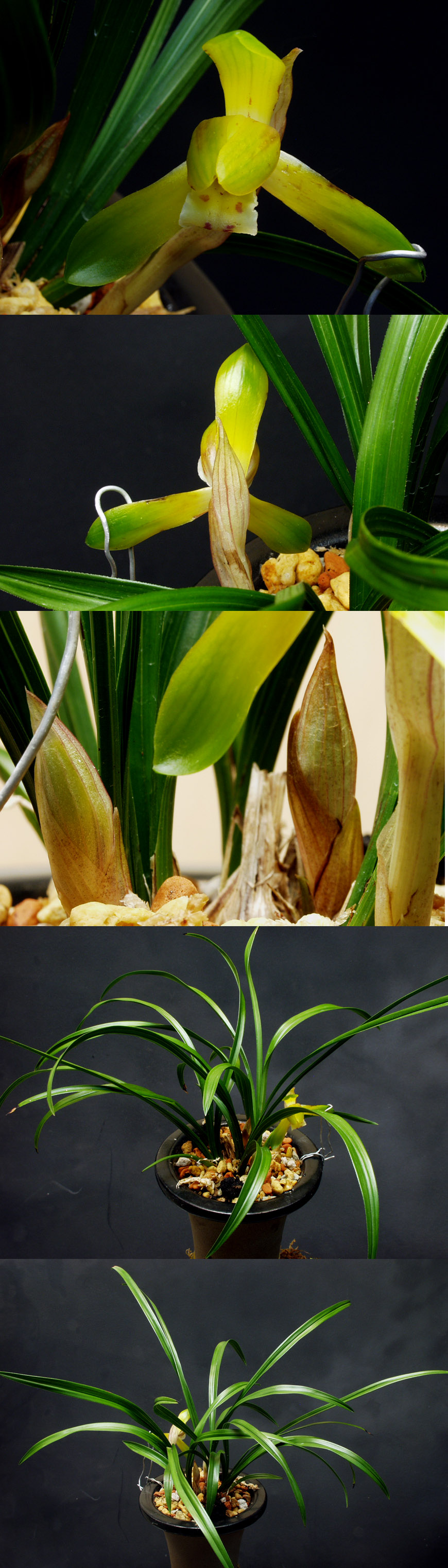 ������ ū������ �� �� �ֽ��ϴ�.