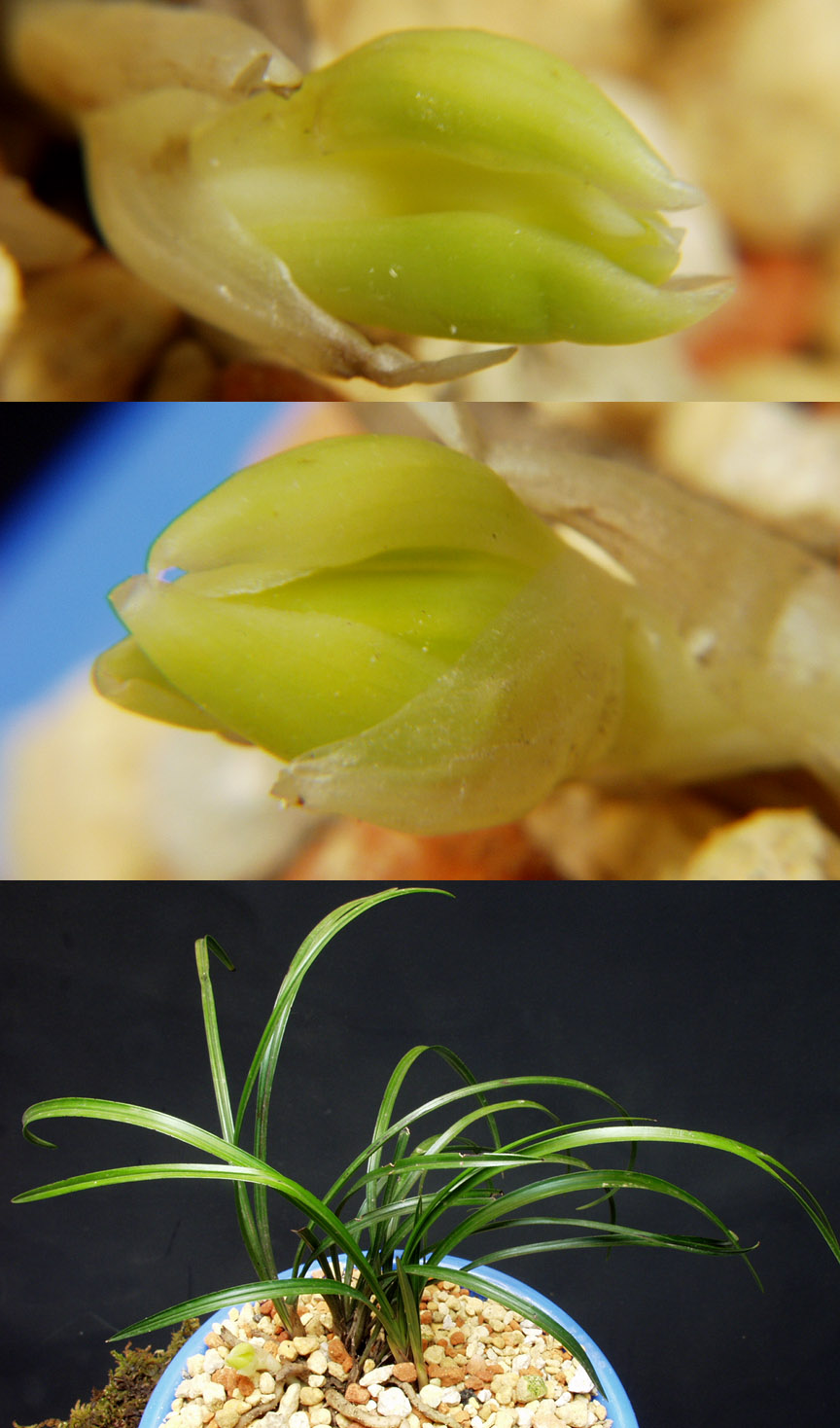 ������ ū������ �� �� �ֽ��ϴ�.