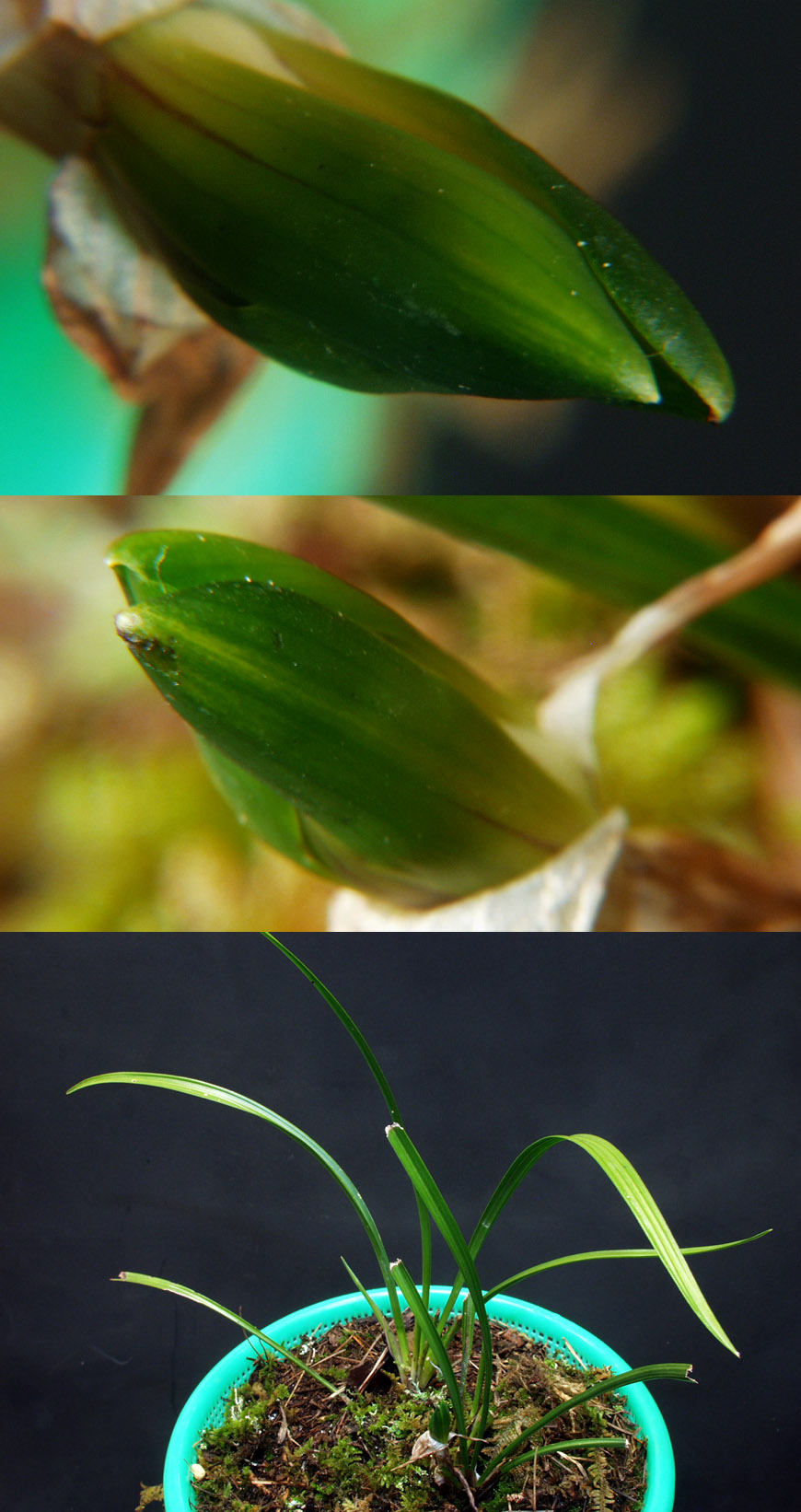 ������ ū������ �� �� �ֽ��ϴ�.