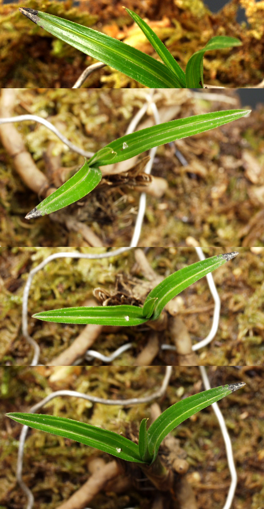 ������ ū������ �� �� �ֽ��ϴ�.