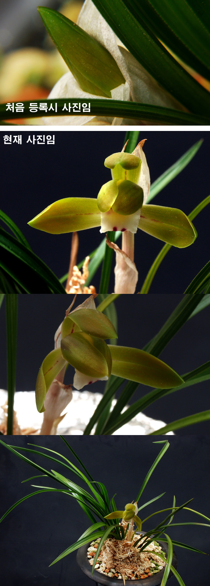 ������ ū������ �� �� �ֽ��ϴ�.