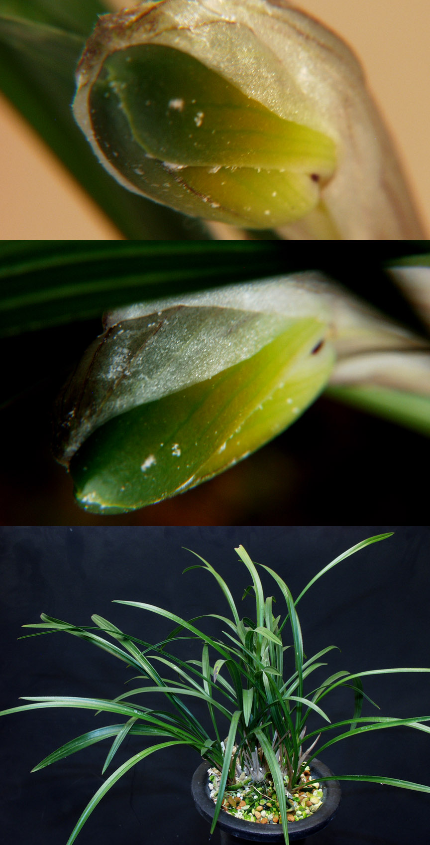 ������ ū������ �� �� �ֽ��ϴ�.