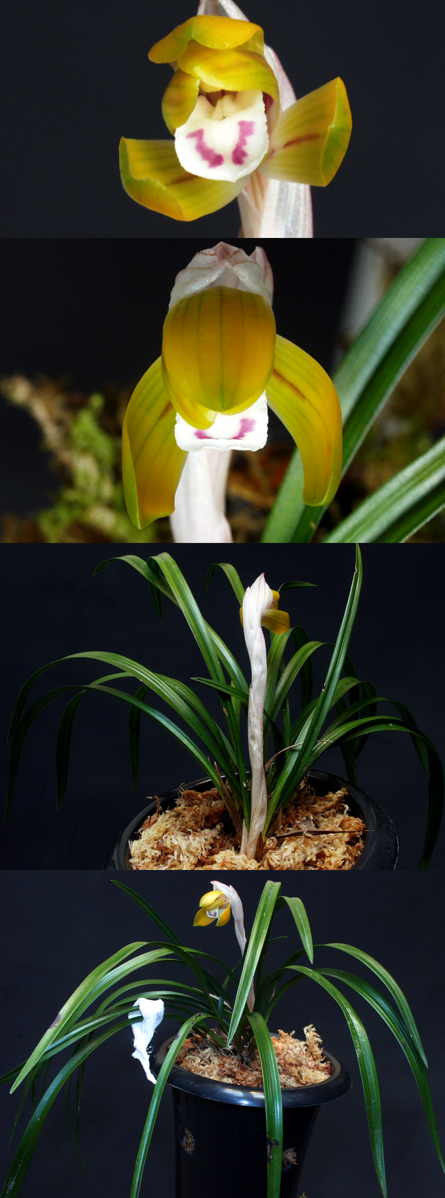 ������ ū������ �� �� �ֽ��ϴ�.