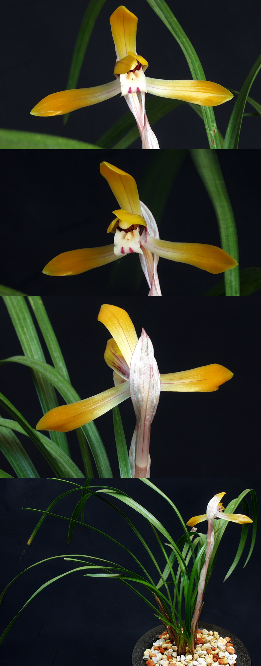 ������ ū������ �� �� �ֽ��ϴ�.