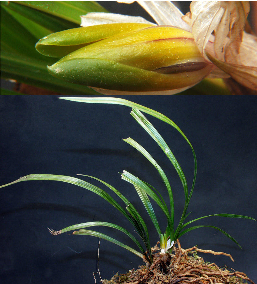 ������ ū������ �� �� �ֽ��ϴ�.