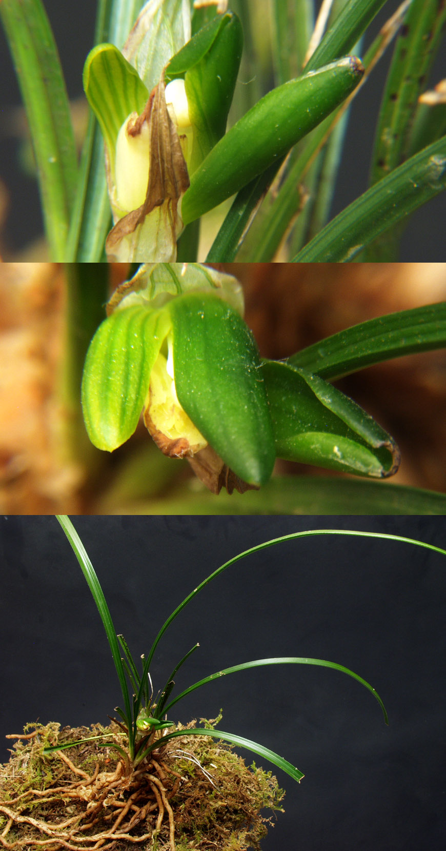 ������ ū������ �� �� �ֽ��ϴ�.