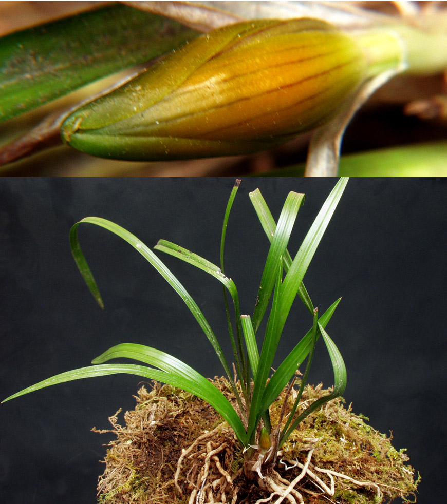 ������ ū������ �� �� �ֽ��ϴ�.