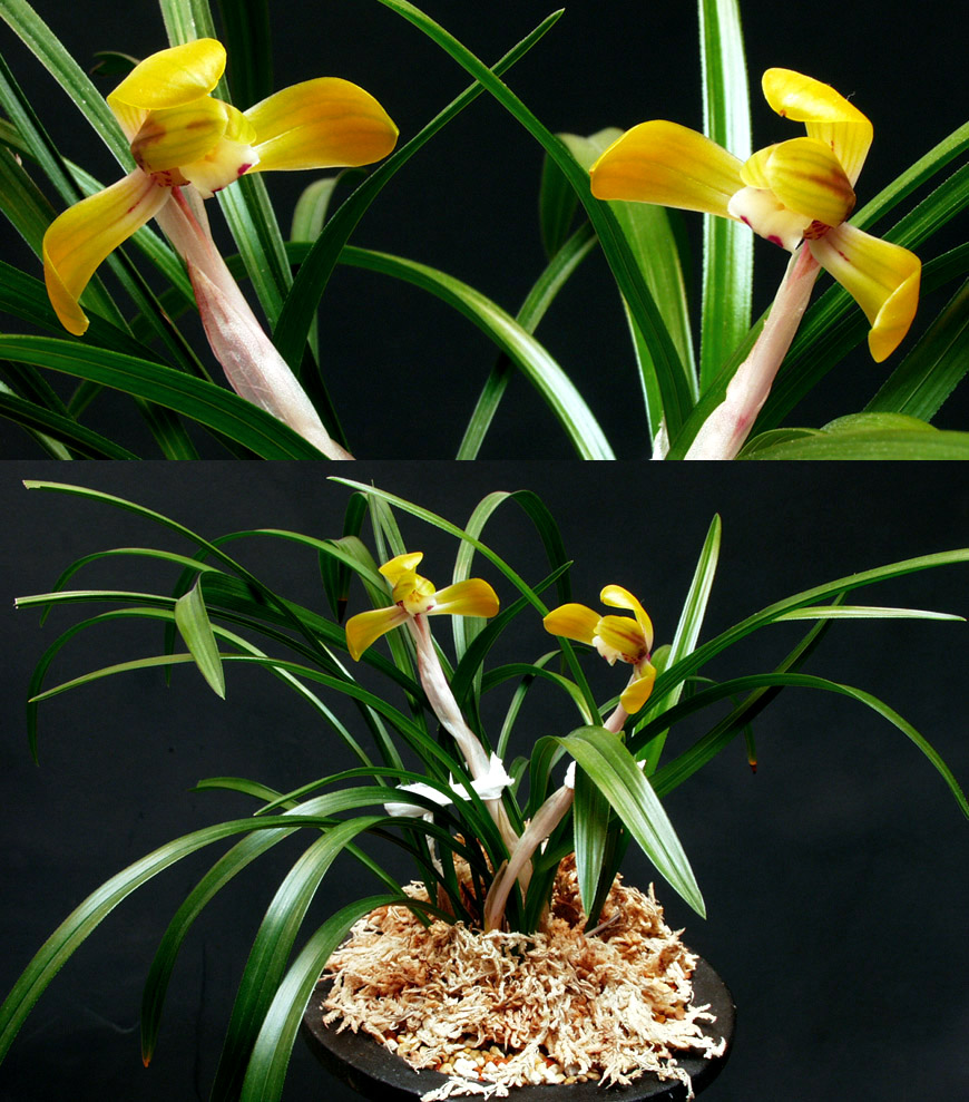 ������ ū������ �� �� �ֽ��ϴ�.