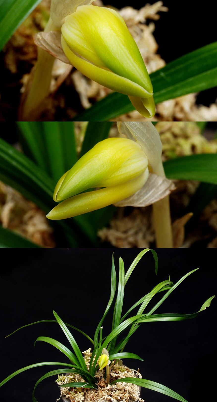 ������ ū������ �� �� �ֽ��ϴ�.