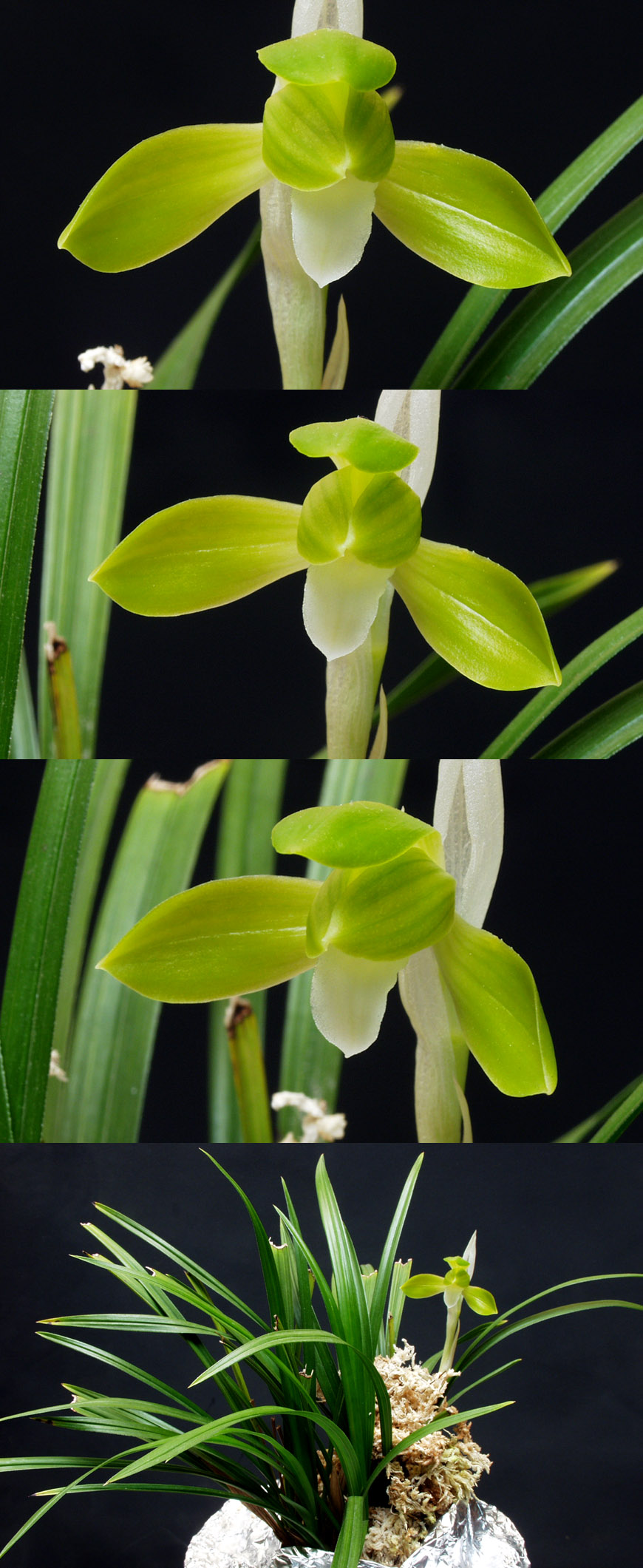 ������ ū������ �� �� �ֽ��ϴ�.