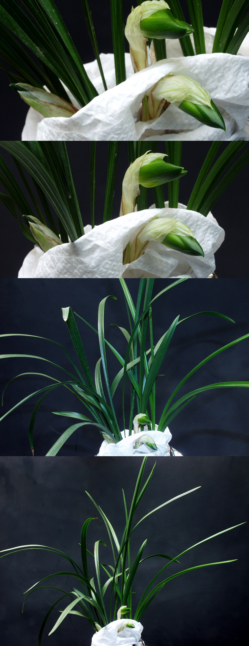 ������ ū������ �� �� �ֽ��ϴ�.