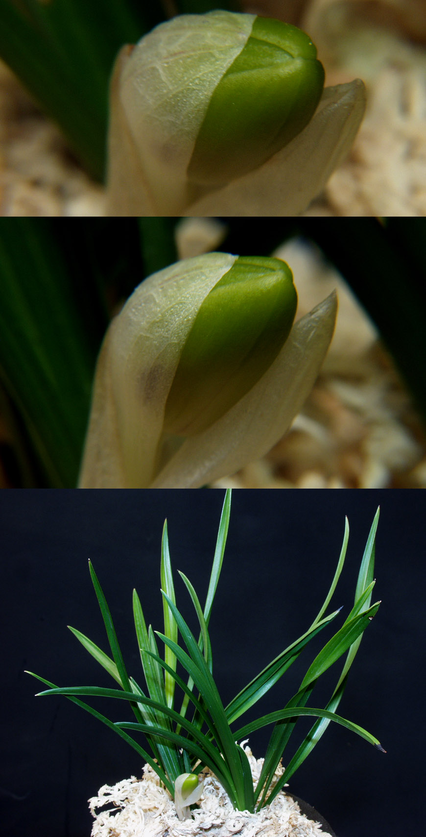 ������ ū������ �� �� �ֽ��ϴ�.