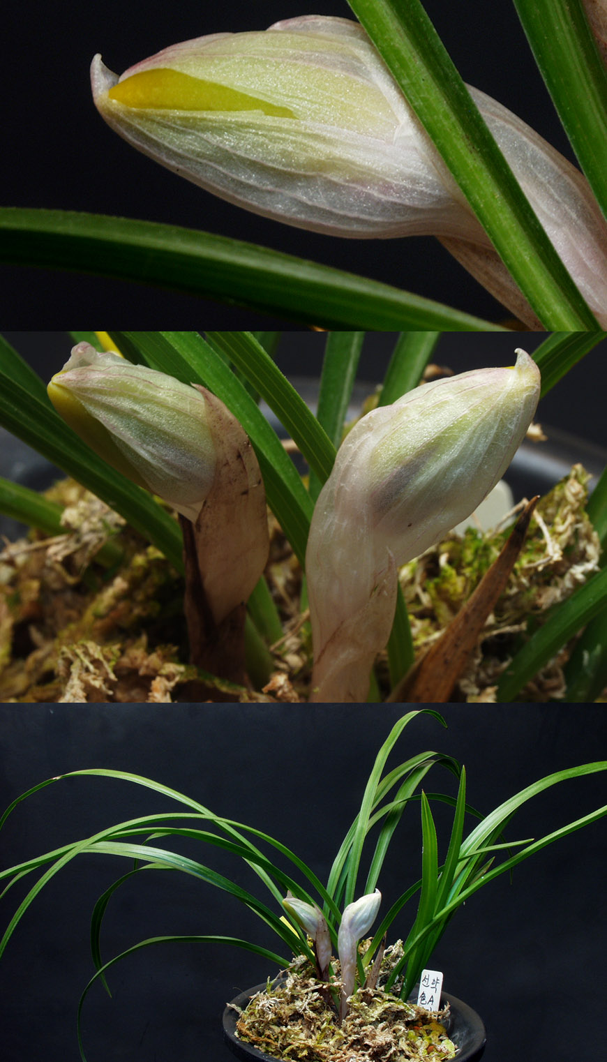 ������ ū������ �� �� �ֽ��ϴ�.