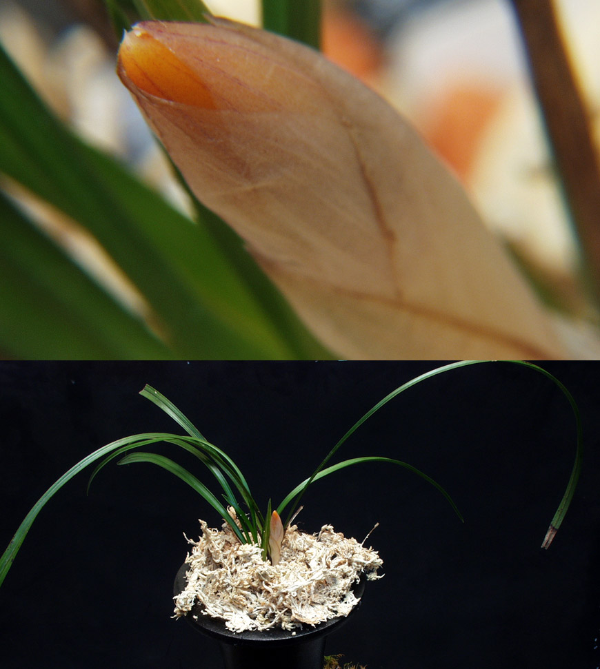 ������ ū������ �� �� �ֽ��ϴ�.