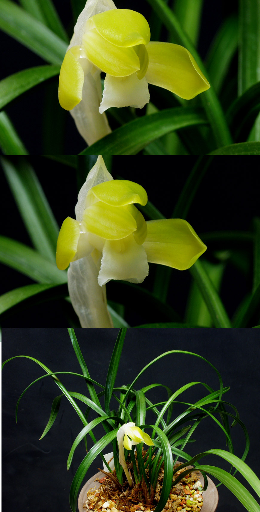 ������ ū������ �� �� �ֽ��ϴ�.