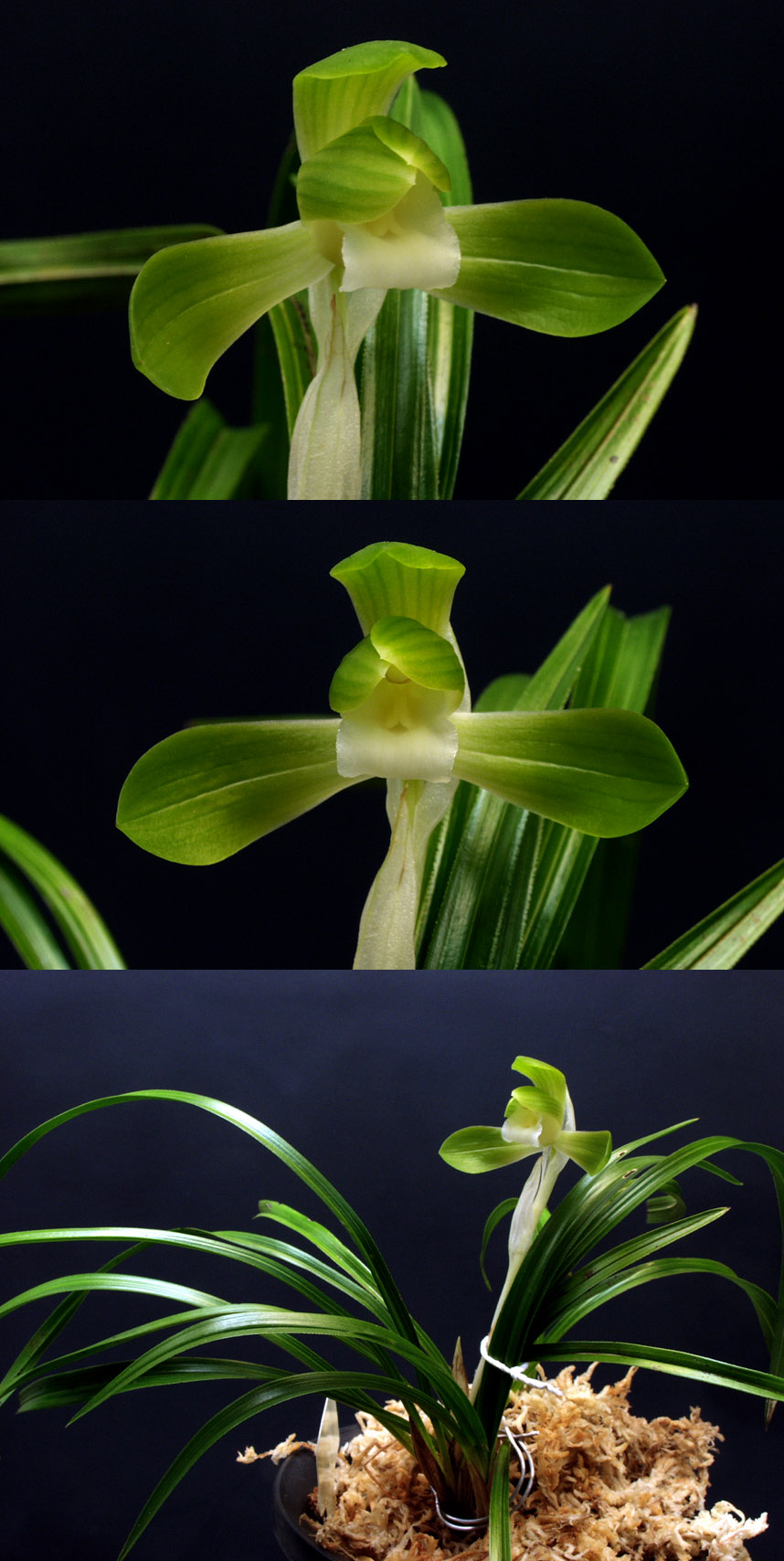 ������ ū������ �� �� �ֽ��ϴ�.