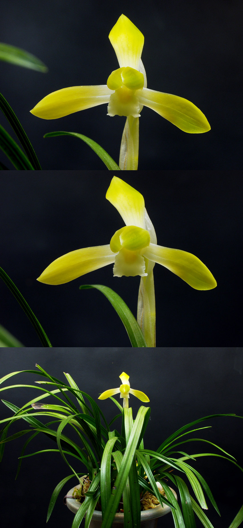 ������ ū������ �� �� �ֽ��ϴ�.