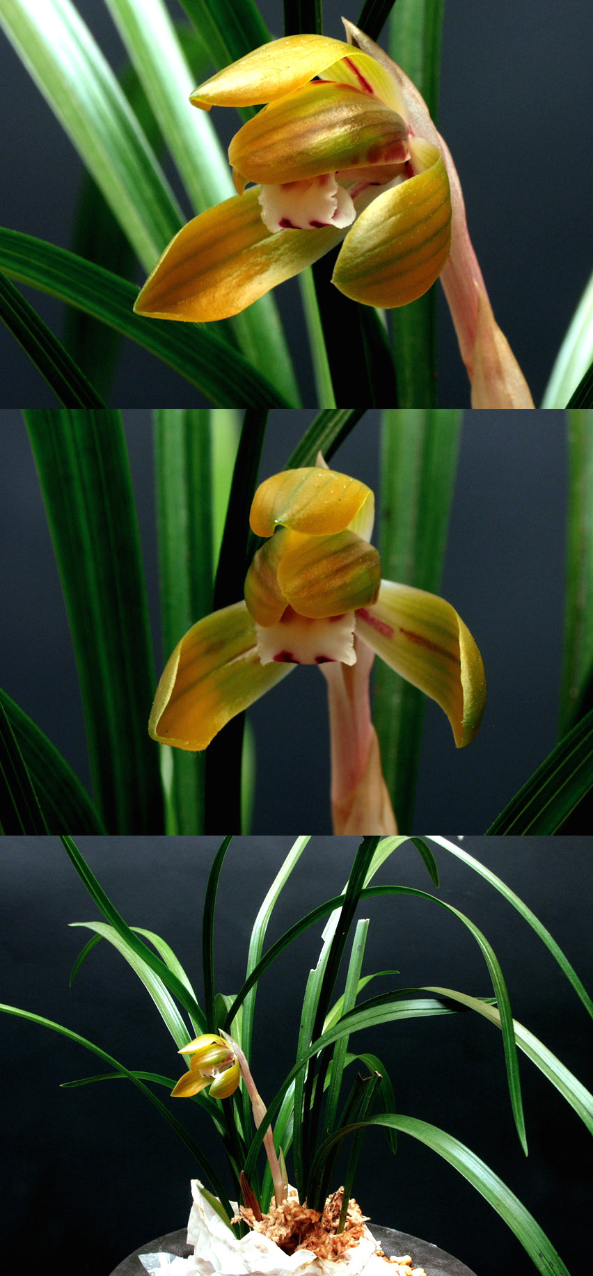 ������ ū������ �� �� �ֽ��ϴ�.