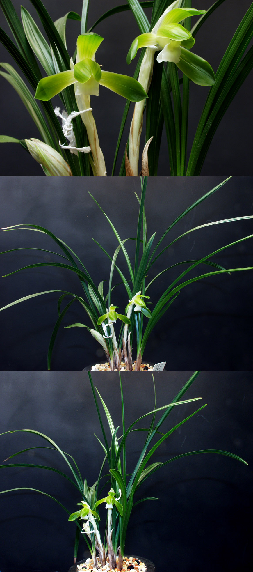 ������ ū������ �� �� �ֽ��ϴ�.