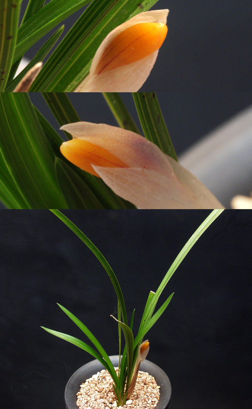 ������ ū������ �� �� �ֽ��ϴ�.