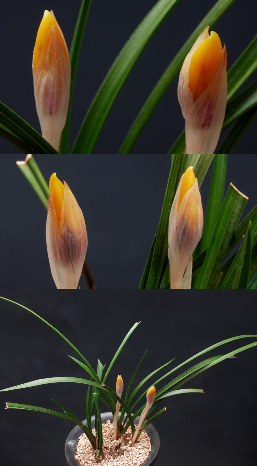 ������ ū������ �� �� �ֽ��ϴ�.